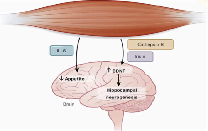 Ein Bild, das Text, Zeichnung, Diagramm enthält.
KI-generierte Inhalte können fehlerhaft sein.
