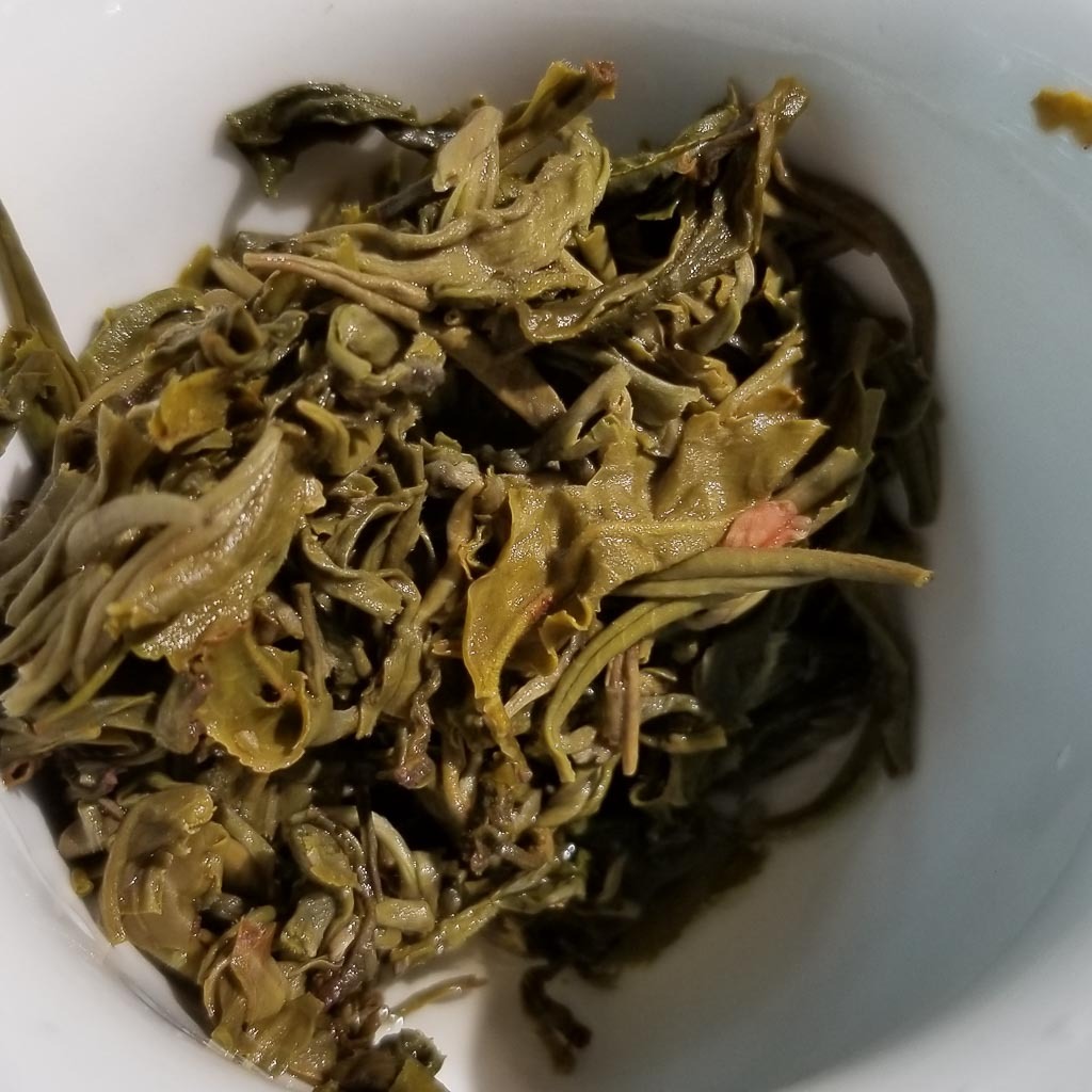 Unrolled Silver Jasmine Leaves