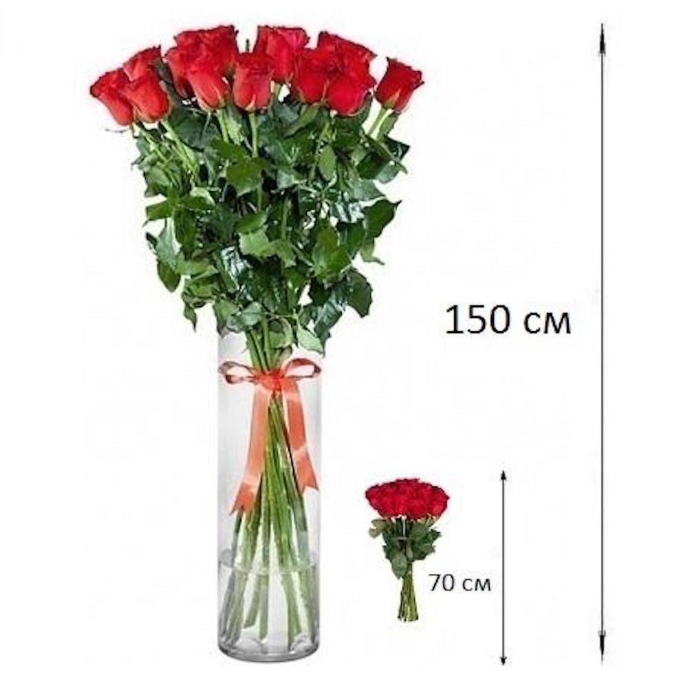 Средняя цена одной розы. Розы 120 см. Розы 200 см. Высокие розы.