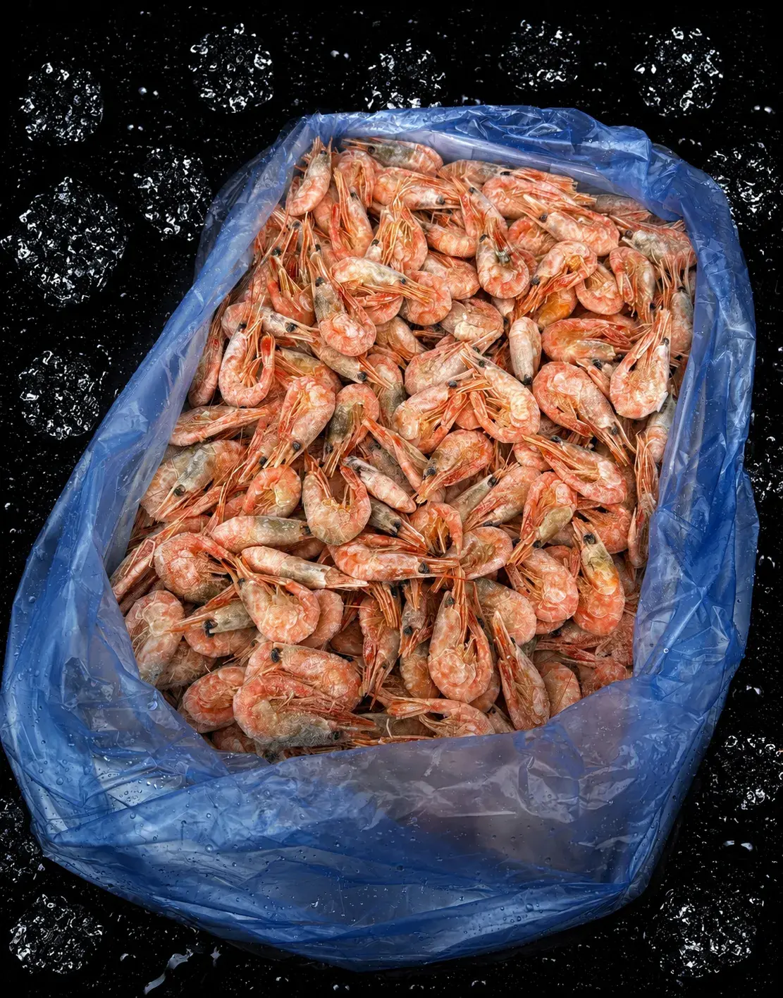 Креветка северная РФ, 90+