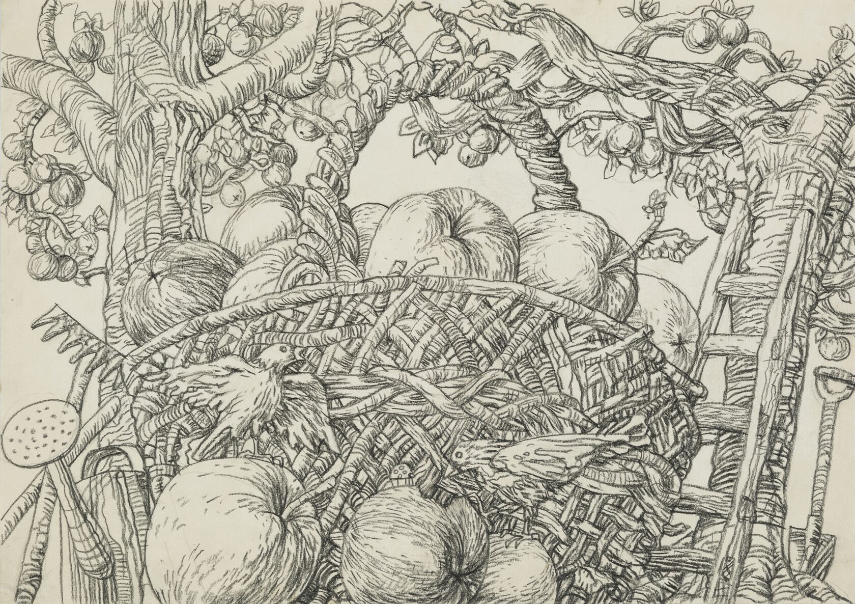 Натюрморт с яблоками. 1984 