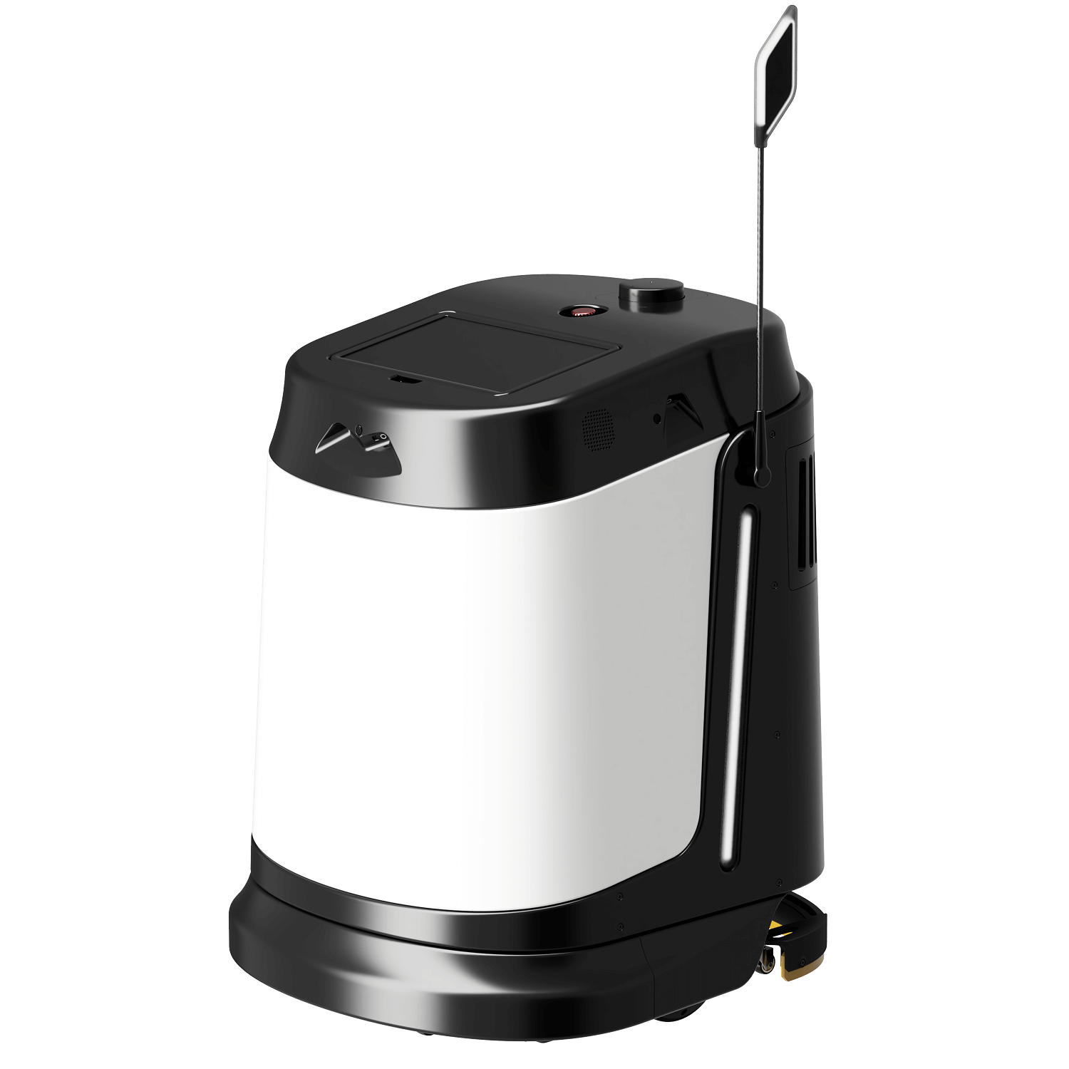 Cleanbotics 400 PRO