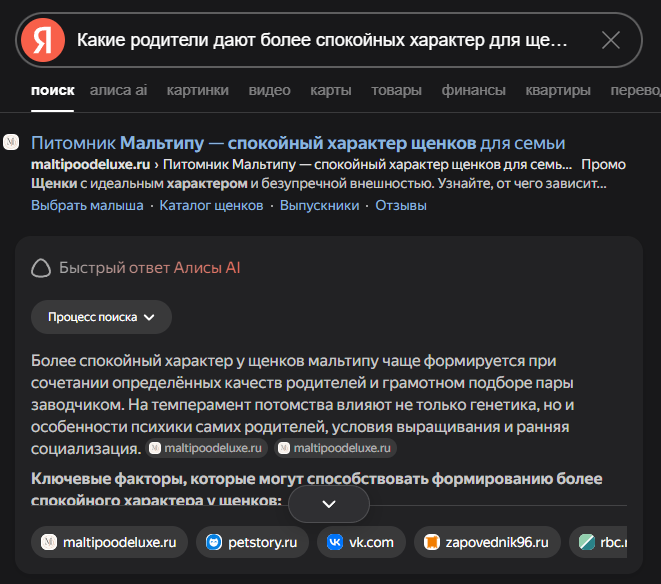 Geo продвижение, нейро выдача ответа в яндекс алиса AI