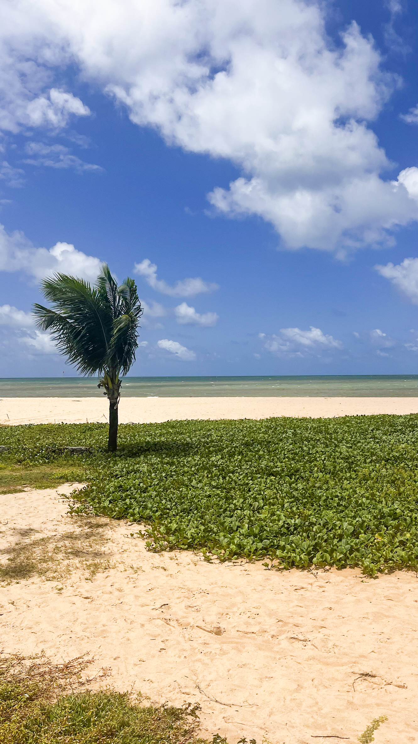 Вид на побережье Бразилии