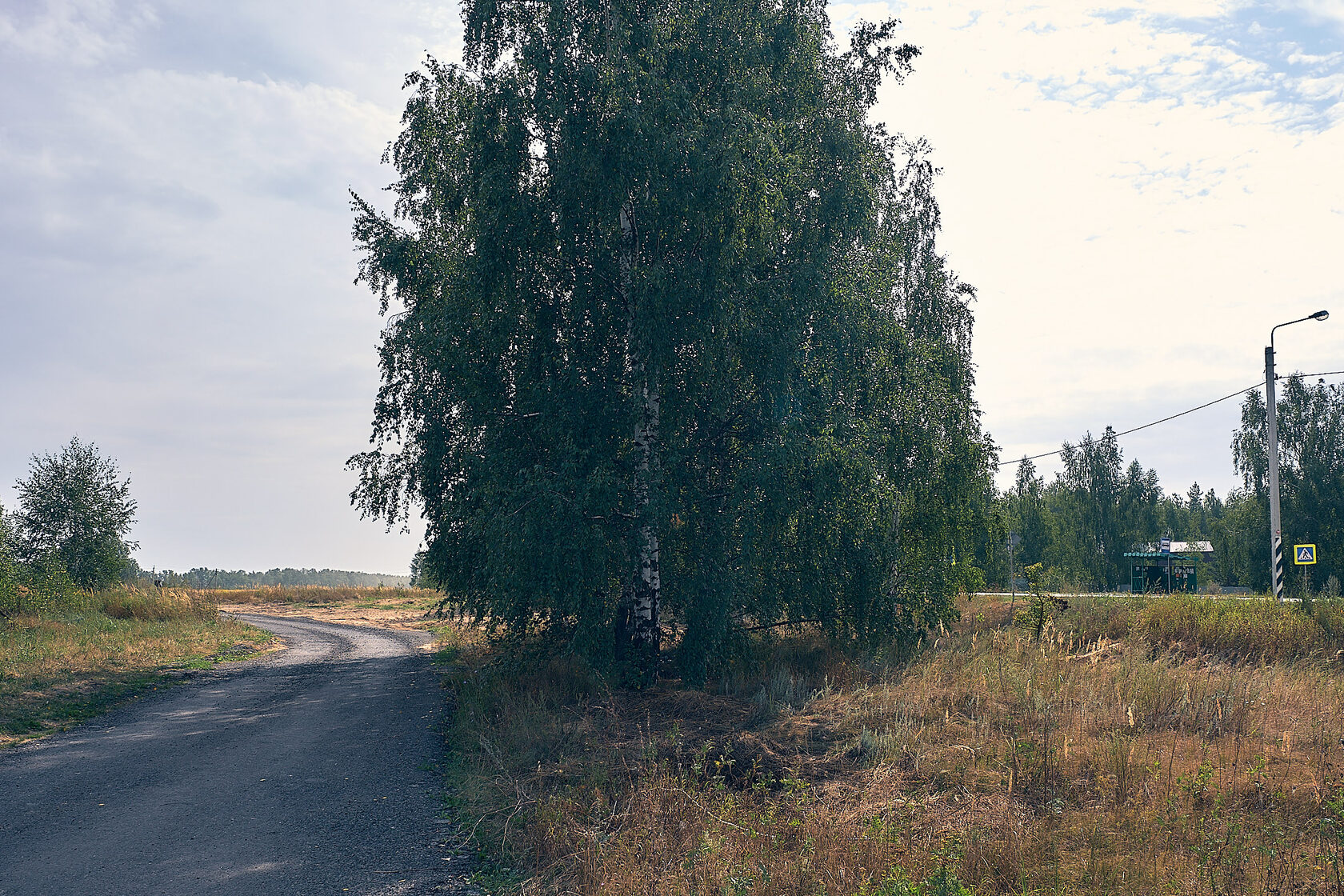 Семкино Рязанская область. Село Семкино Рязанская область природа. Новое Сёмкино Рязань.