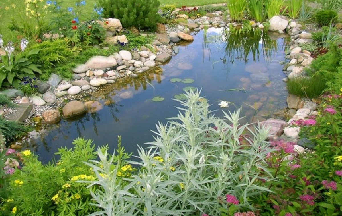 Гидроизоляция и ремонт пруда.