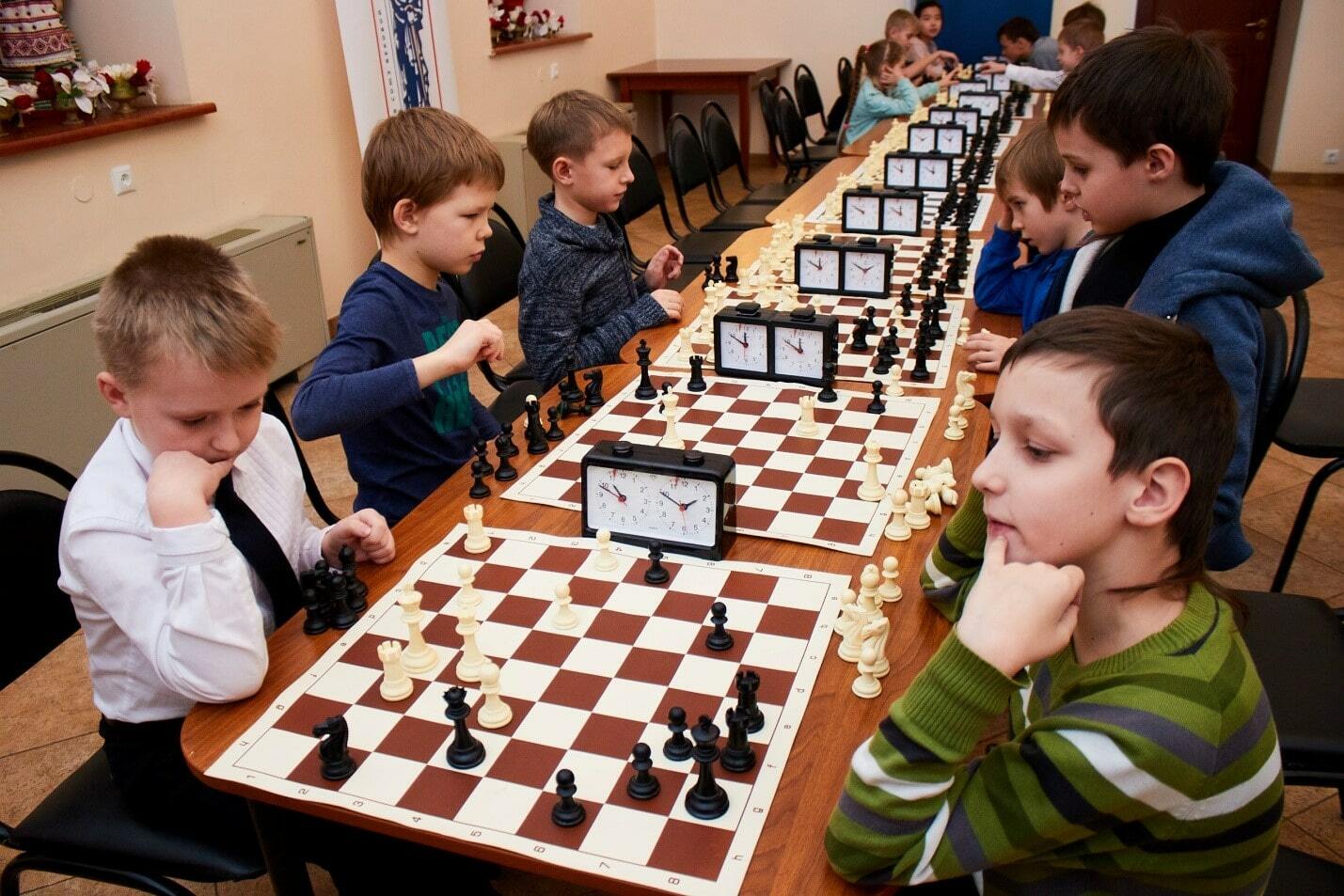 шахматная школа химки