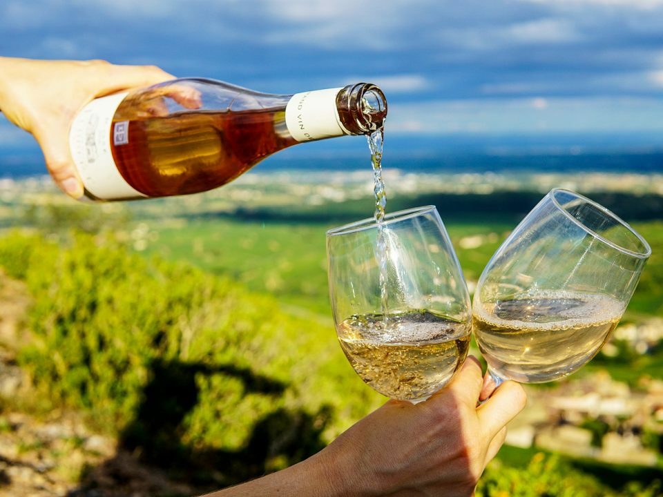 Wineries of the Emporda region: a wine tour from Barcelona | Casamiga Events