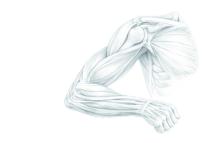 Эндопротезирование плечевого сустава — схема операции