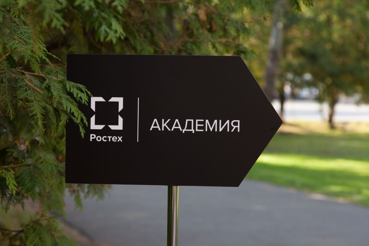 5 Советов На Новый Год