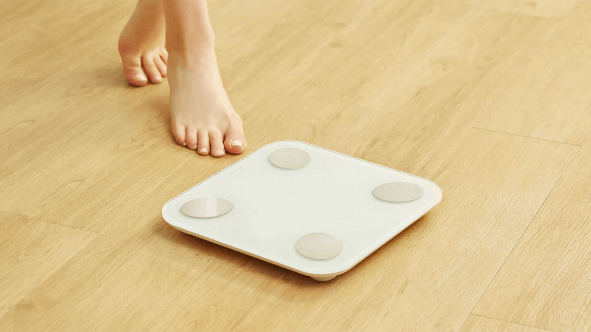 Весы xiaomi body. Xiaomi yunmai Smart body fat Scale mini2. Умные весы Xiaomi yunmai Mini 2 WH. Весы yunmai m1690-WH. Умные весы Xiaomi yunmai Smart body fat Scale White Mini 2.