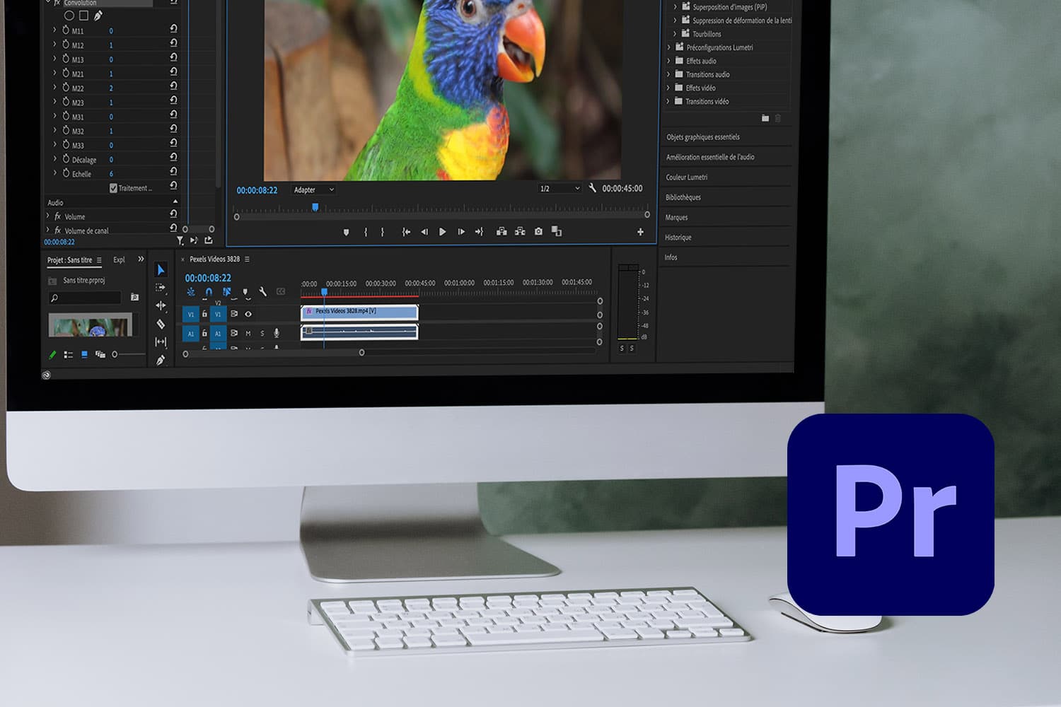 Как добавить текст в Adobe Premiere Pro | OS Helper