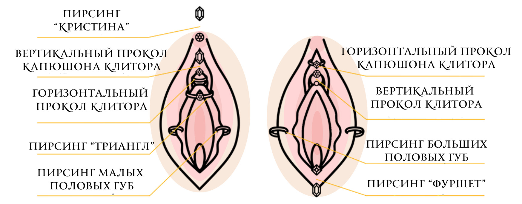 Интимный пирсинг клитора: как и для чего делают? - 69 секретов