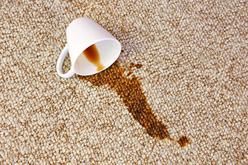 Как удалить с ковра пятно от кофе – Pro Carpet