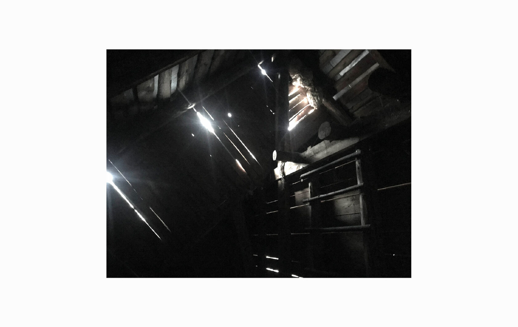 Dacha №1 Nizhny Novgorod