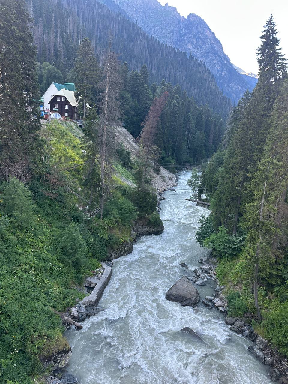 Nature view