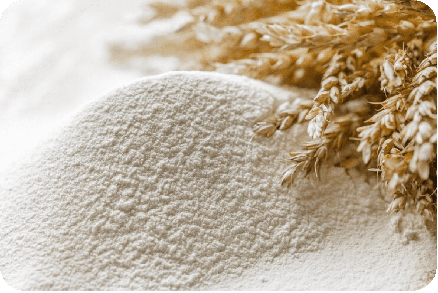 мука, пшеница, зерно, готовка, рецепты, приготовление еды, колос, колосья, тесто, хлеб, хлебный