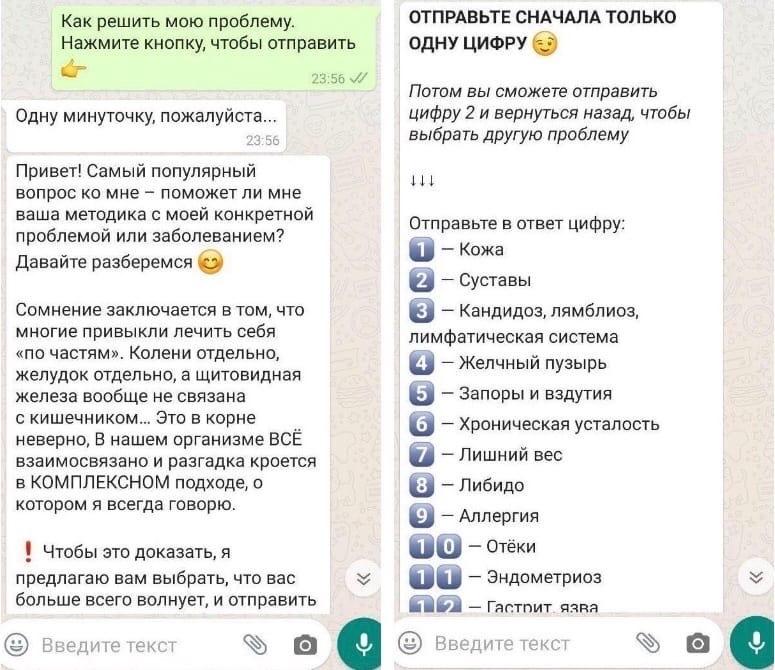 Сергей гераськов доступный чат бот как привлечь и удержать клиентов с помощью whatsapp