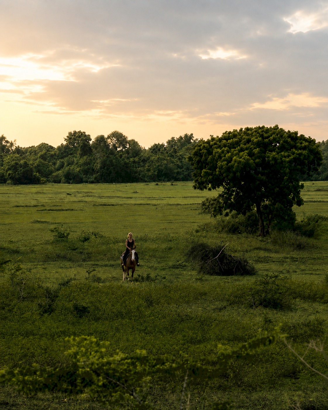 Rider and horse moving through open country at Vonfidel Ranch after the unseen preparation behind a responsible riding day.