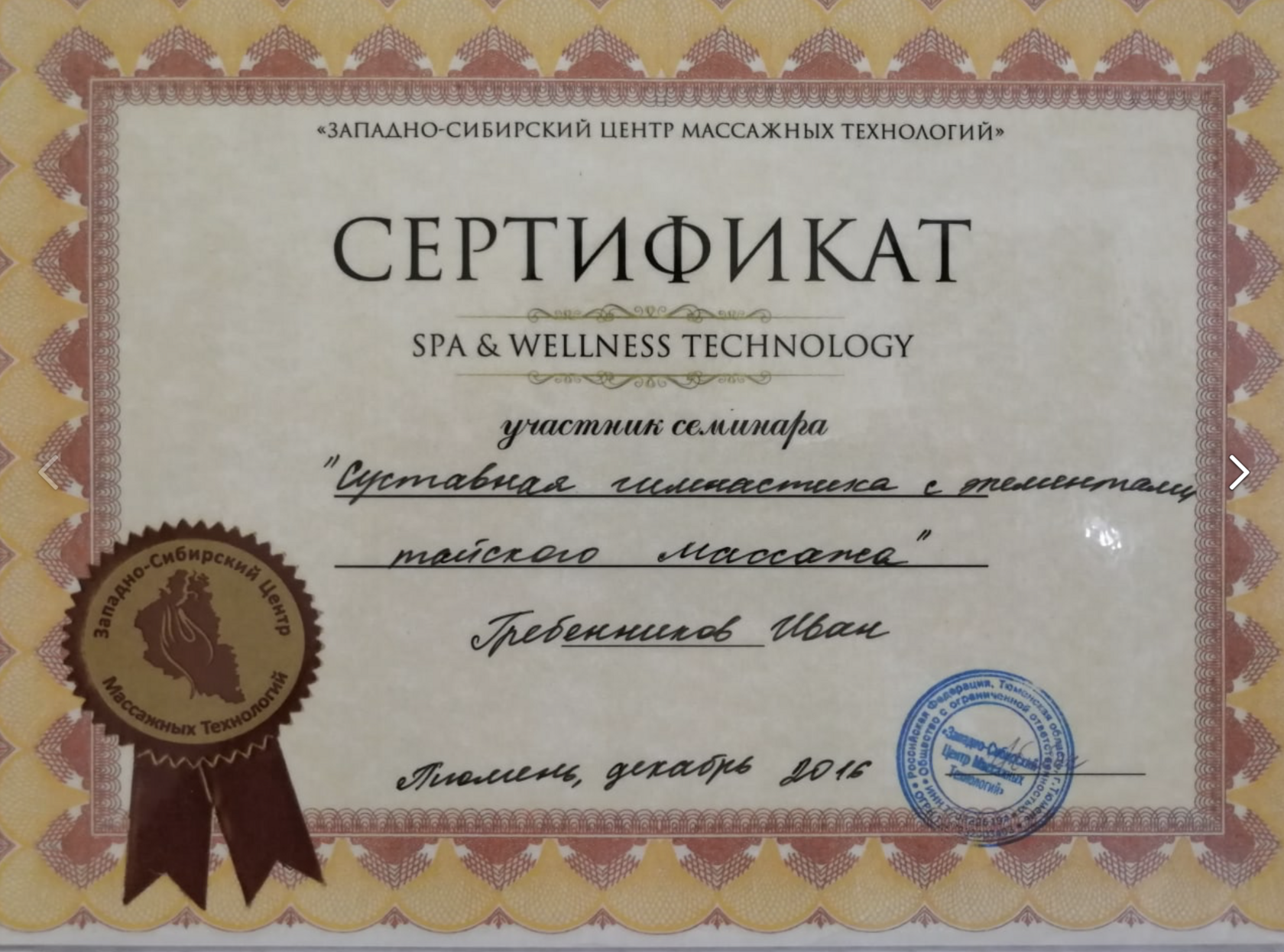 Диплом или сертификат Ивана Гребенникова — 10