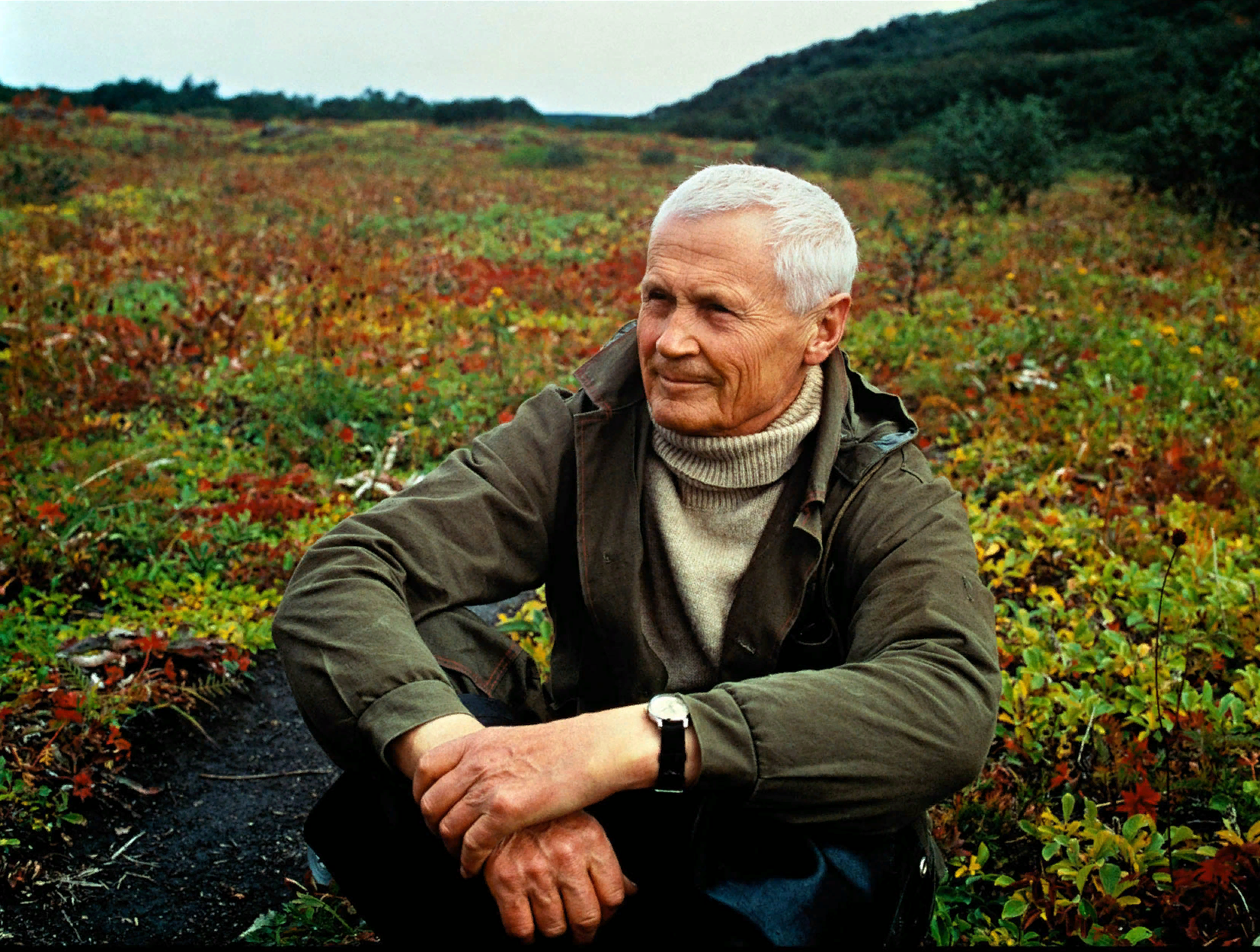 Гиппенрейтер. Вадим Евгеньевич Гиппенрейтер. Гиппенрейтер фотографии. Фотографии Вадима Гиппенрейтера. Вадим Евгеньевич Гиппенрейтер сирень.