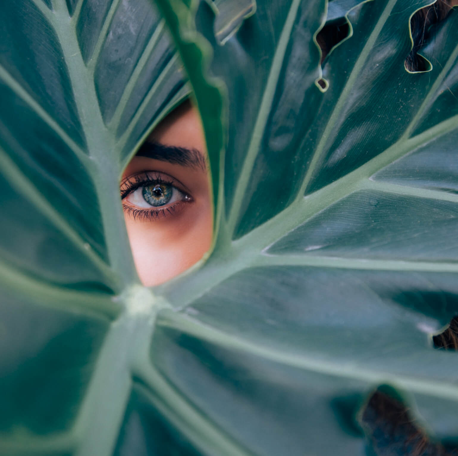 коррекция бровей натуральный вид