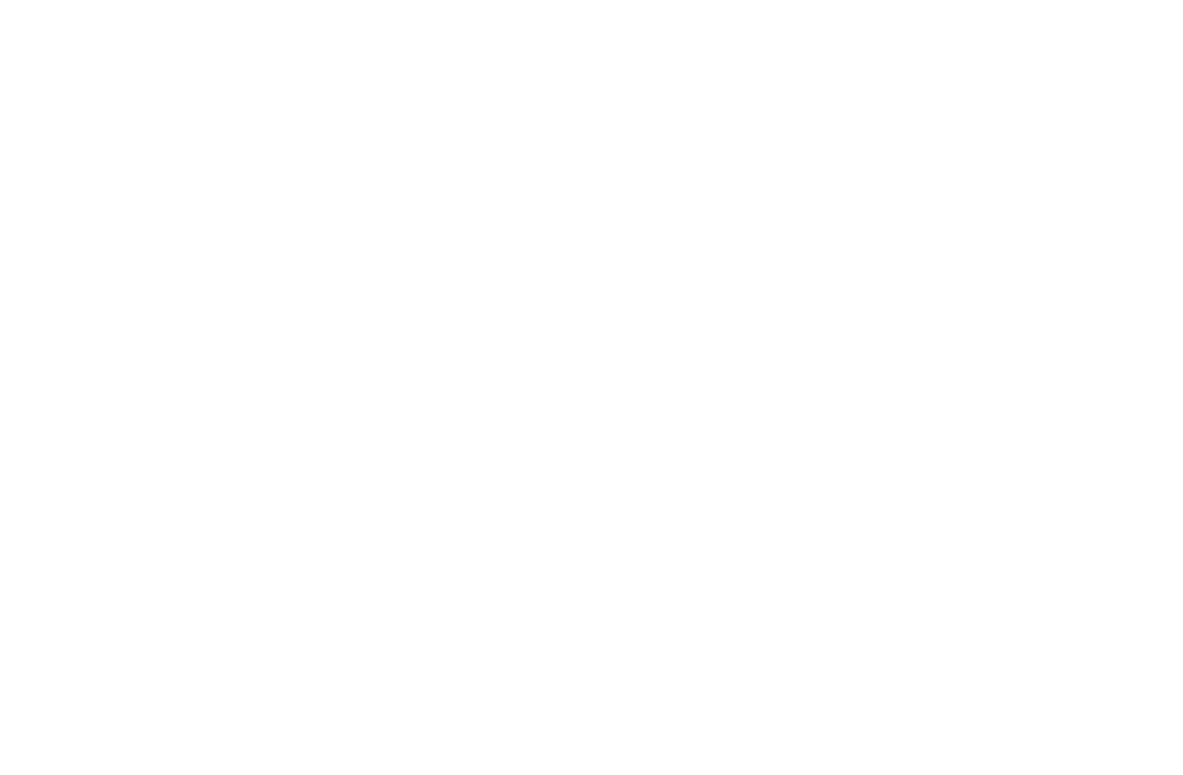 Lilac Spark Award