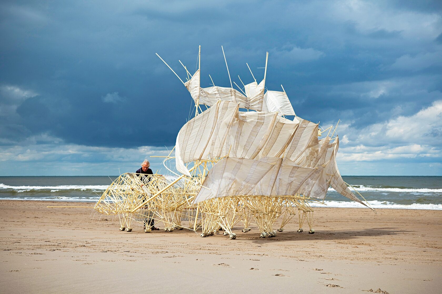 Artist Theo Jansen on the evolution of his Beasts | Vogue Australia