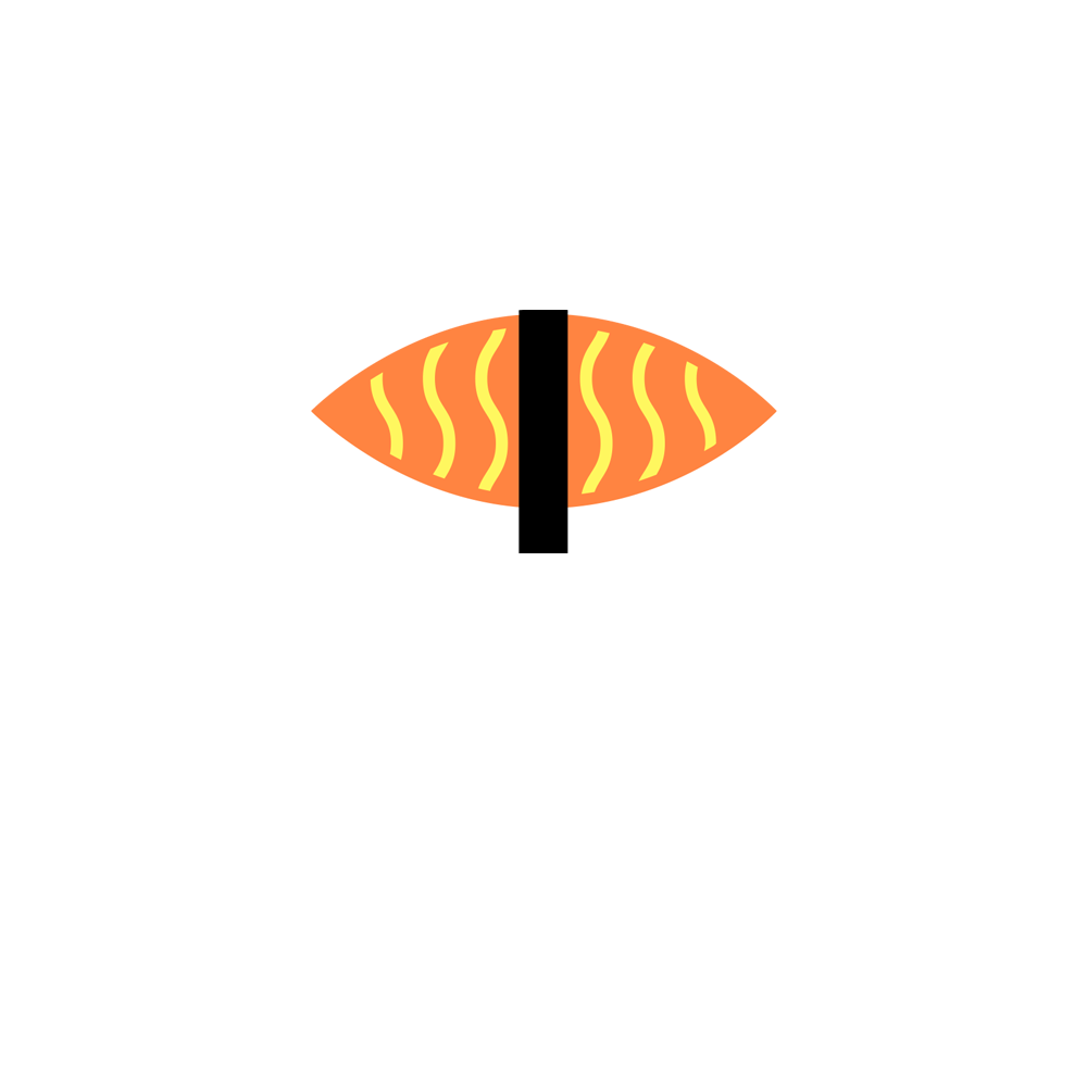 Sushi Spot