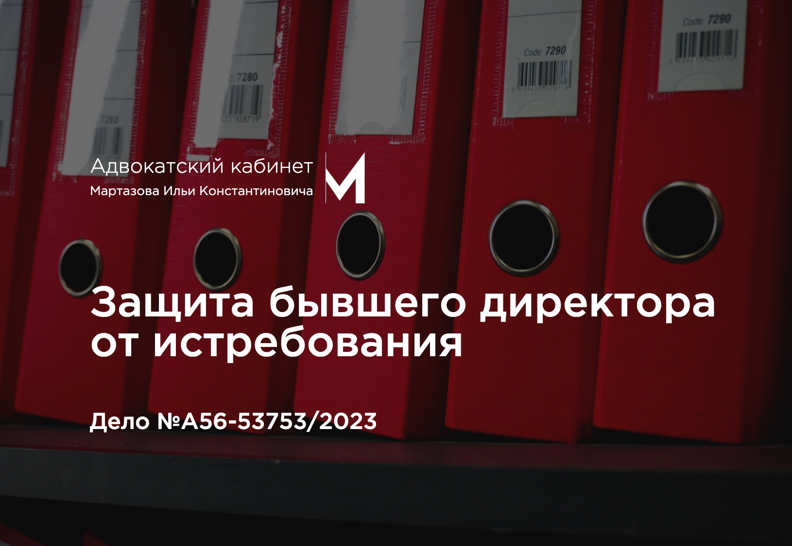 Защита бывшего директора от истребования. Дело №А56-53753/2023