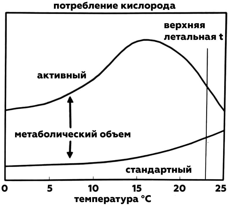метаболический объем лосося узв форель