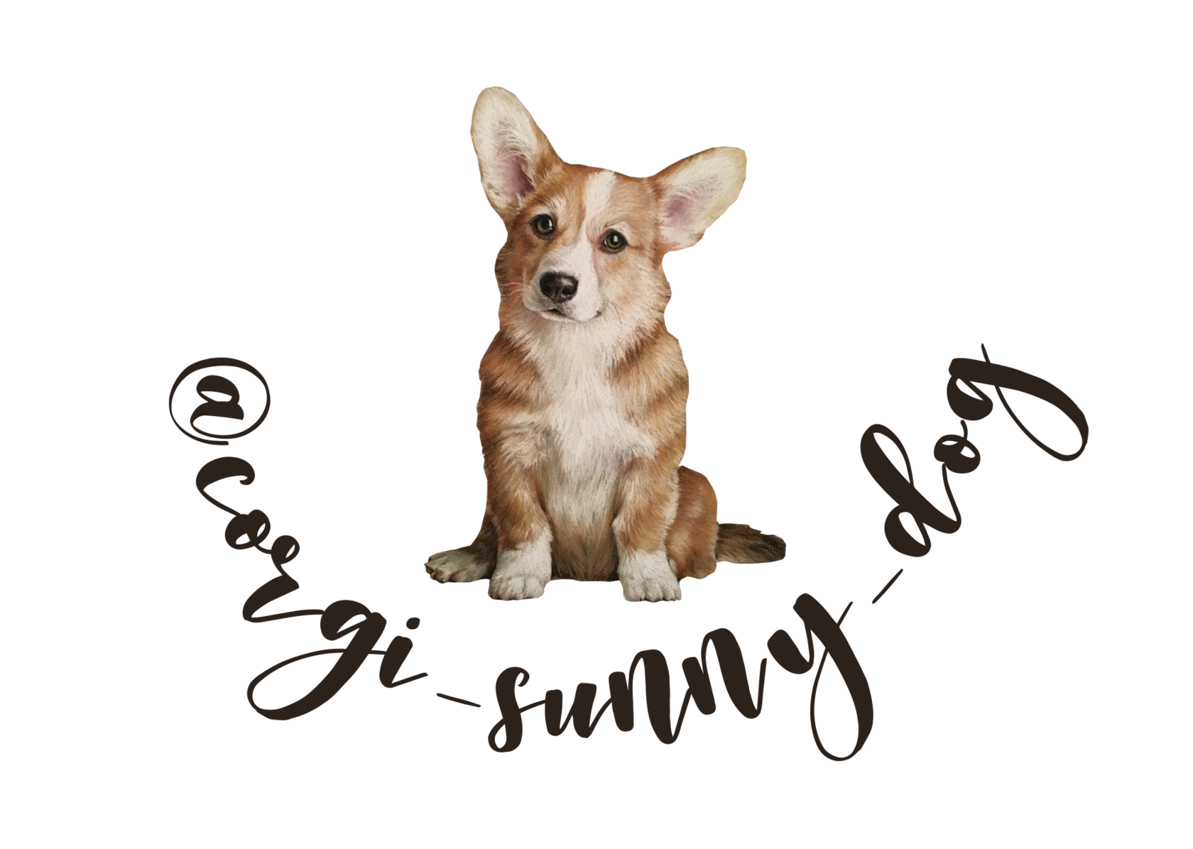 Corgi Sunny Dog - купить щенков вельш корги пемброк​