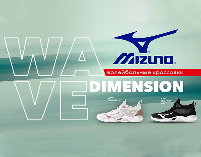 Волейбольные кроссовки MIZUNO Wave Dimension