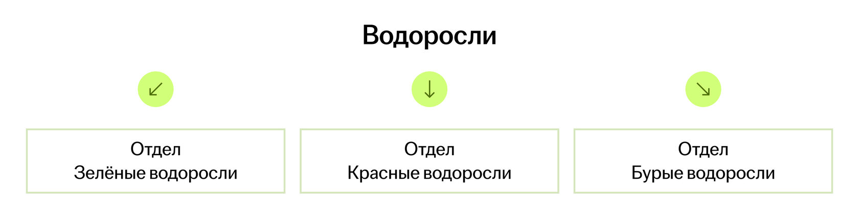Систематика низших растений