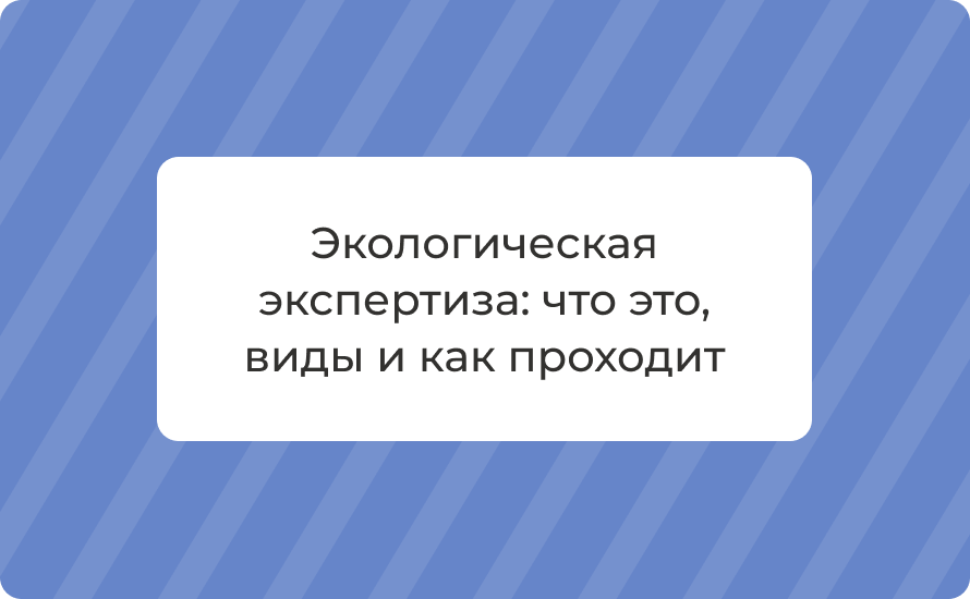 Экологическая экспертиза: что это, виды и как проходит в 2025 году