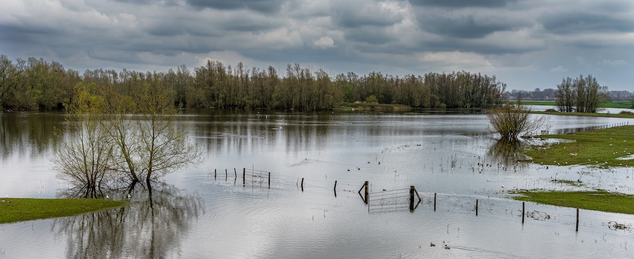 Очистка русел малых рек