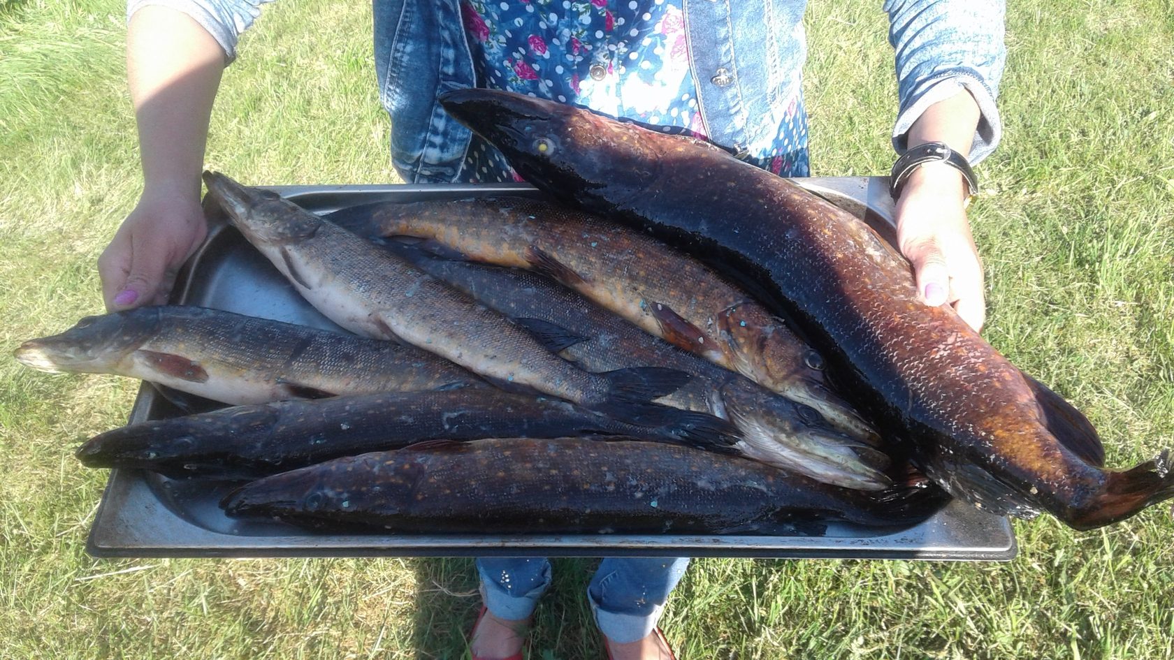 Рыбалка на озере Валдай: лучшие места, снасти и советы