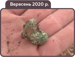 МЕТАВАЙТ - захист рослин від ґрунтових шкідників