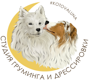 website icon