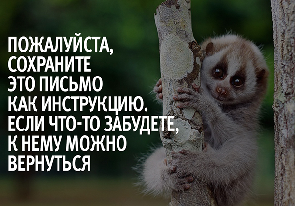 Пожалуйста, сохраните это письмо как инструкцию. Если что-то забудете, к нему можно вернуться