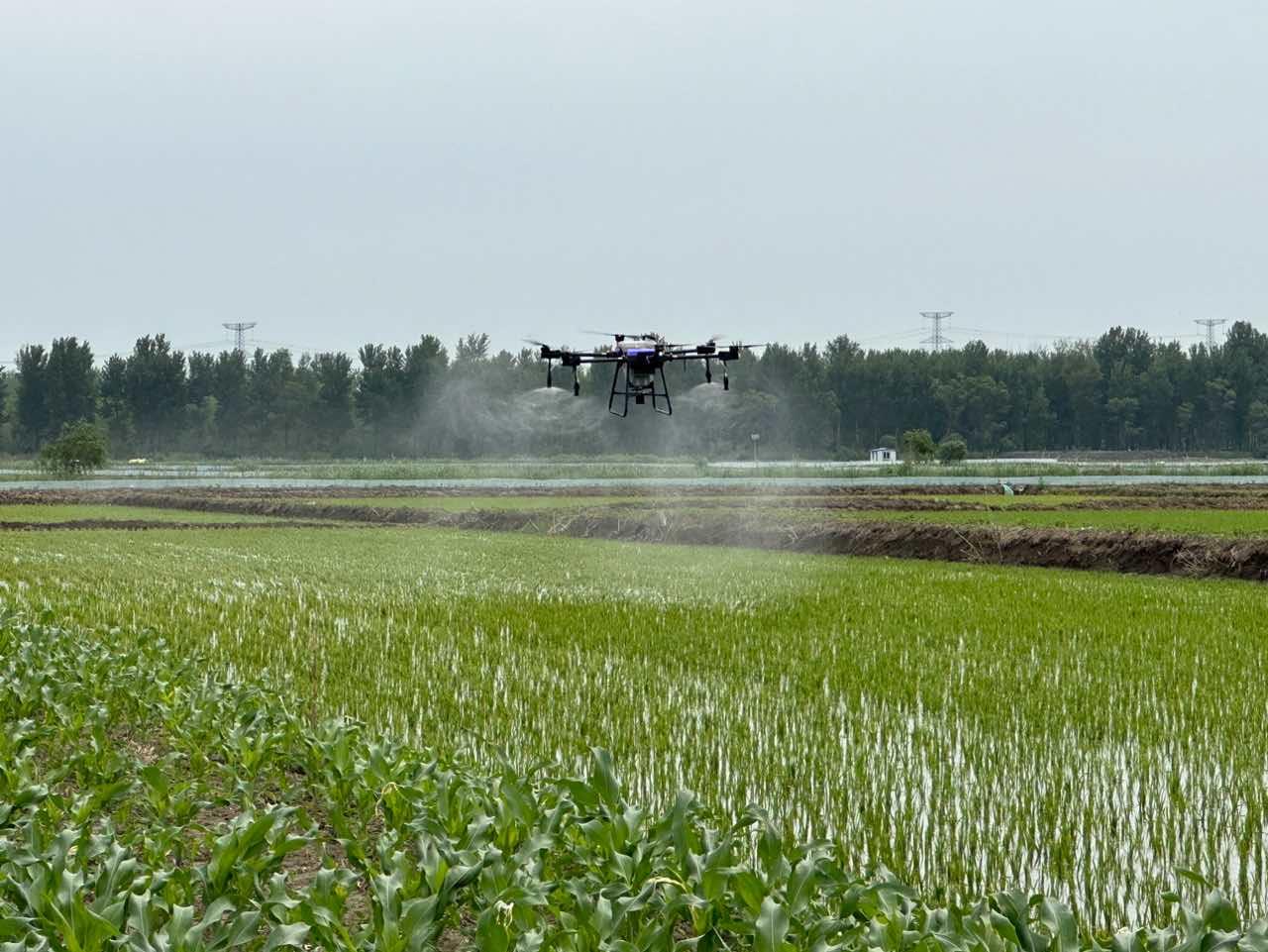 Агродрон Vector AGR опрыскивает поле