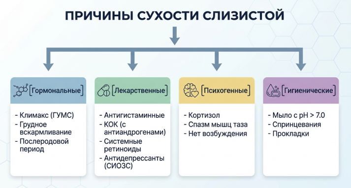 причины сухости