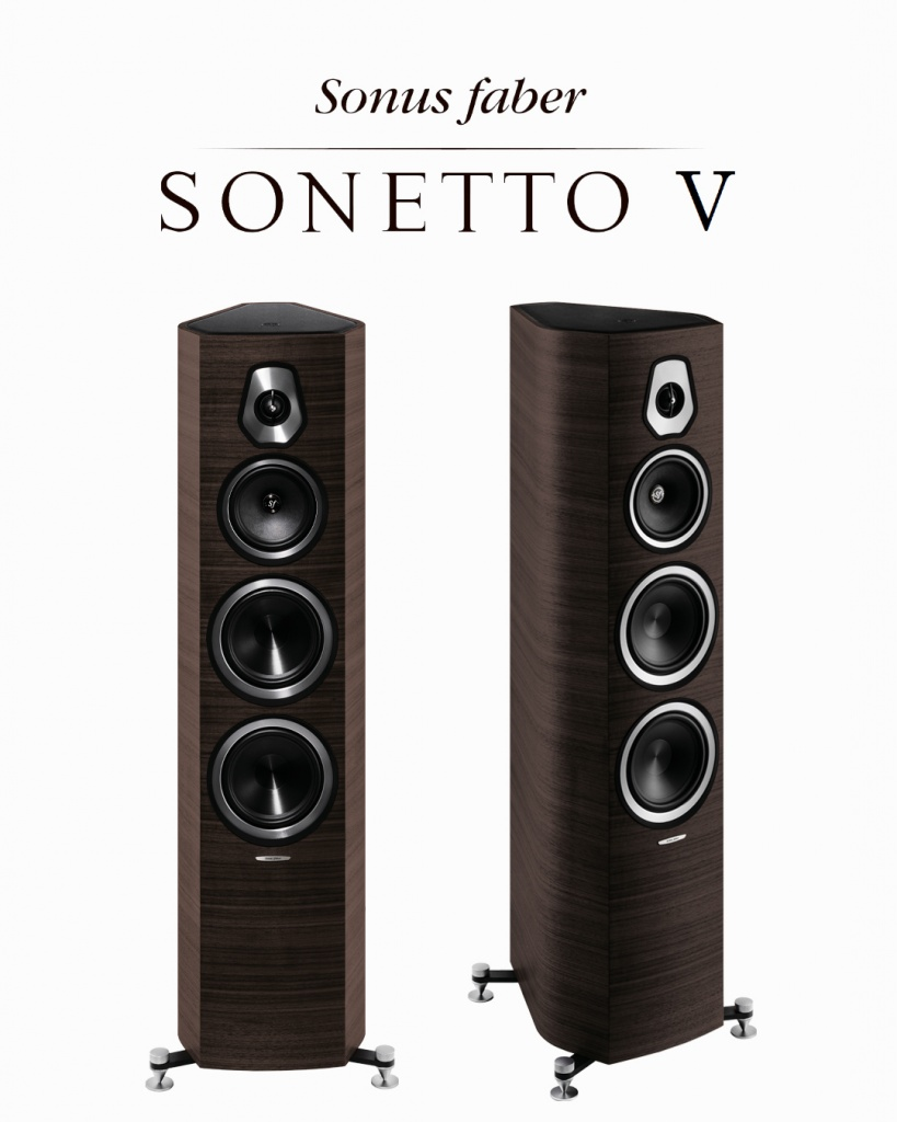 Sonetto VIII.jpg