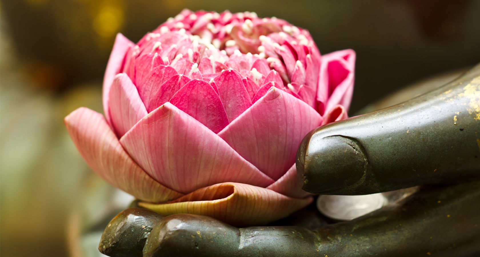 Цветок лотоса в руках Будды