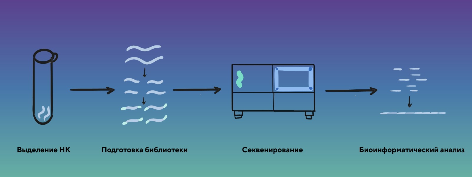 Как проходит подготовка библиотеки для секвенирования - блог Sesana