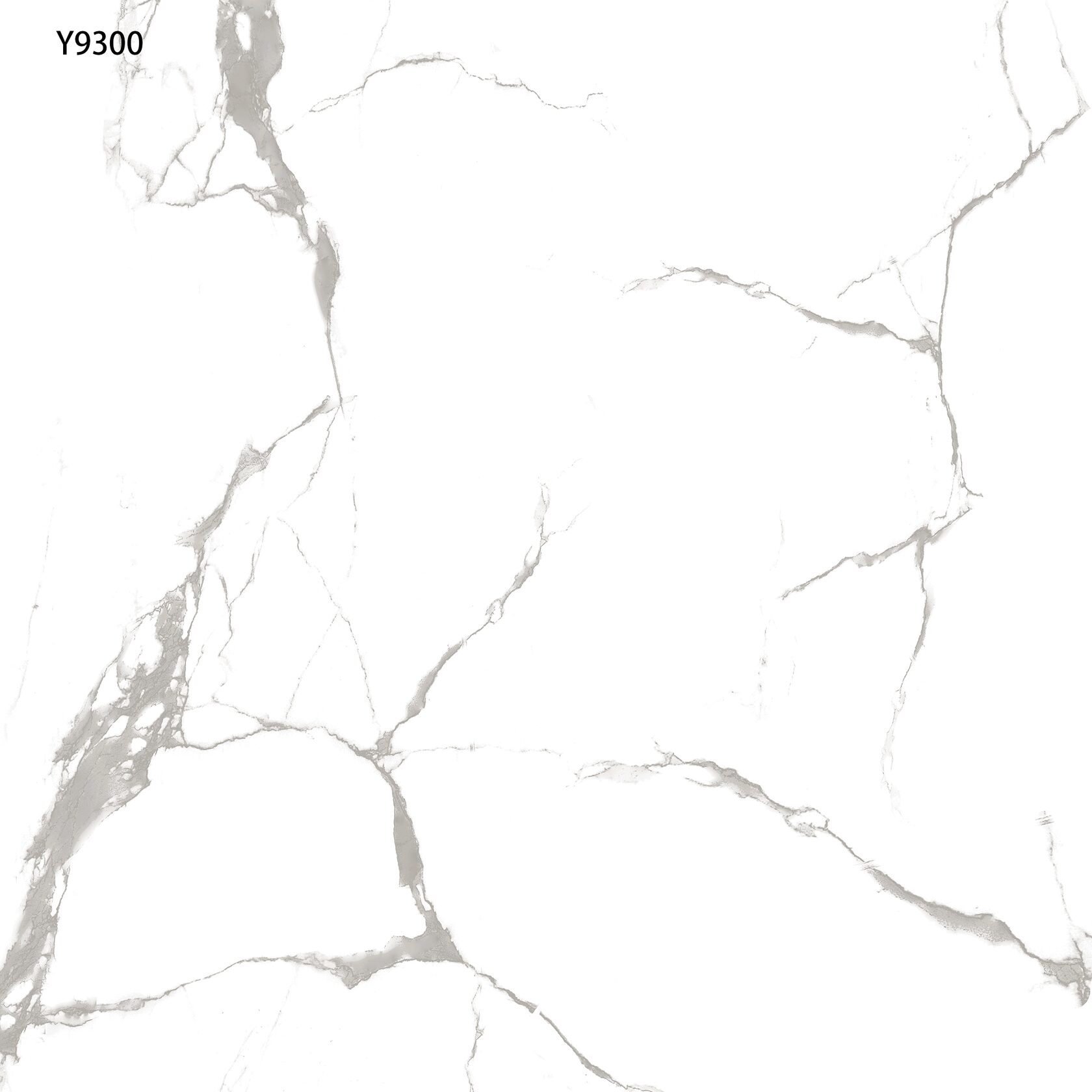 Керамогранит 80*80 Китай - CSG