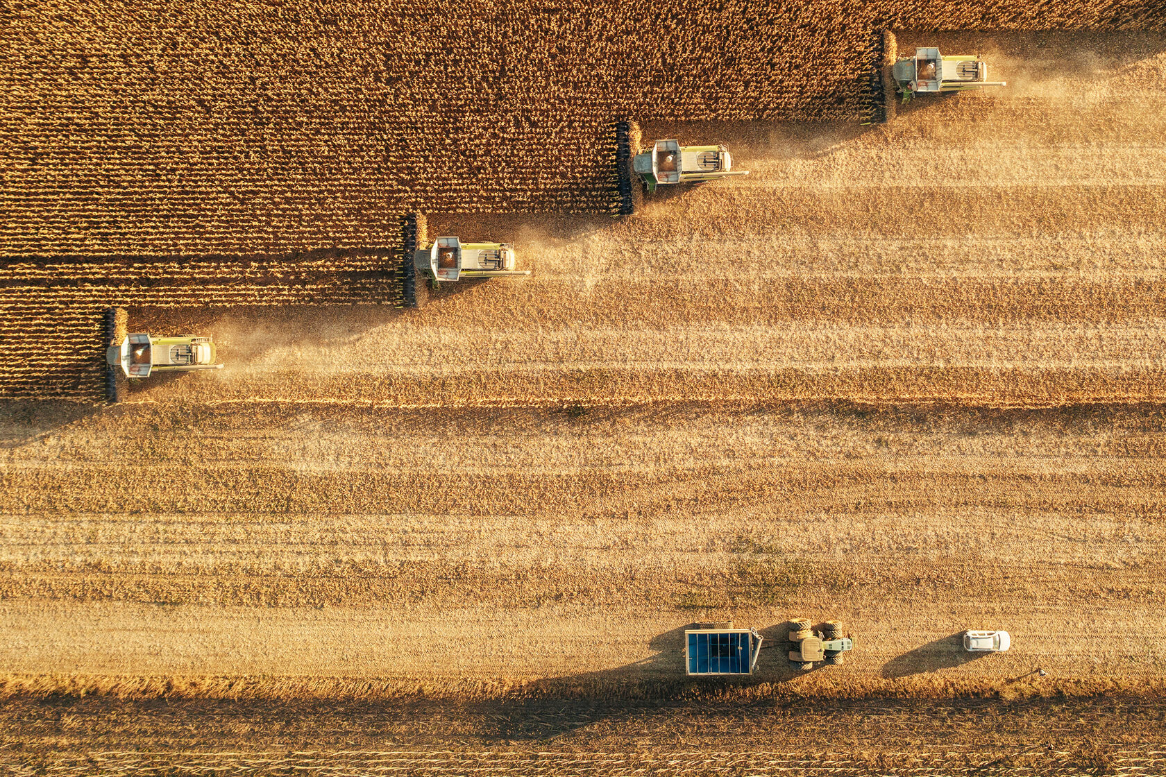 farming