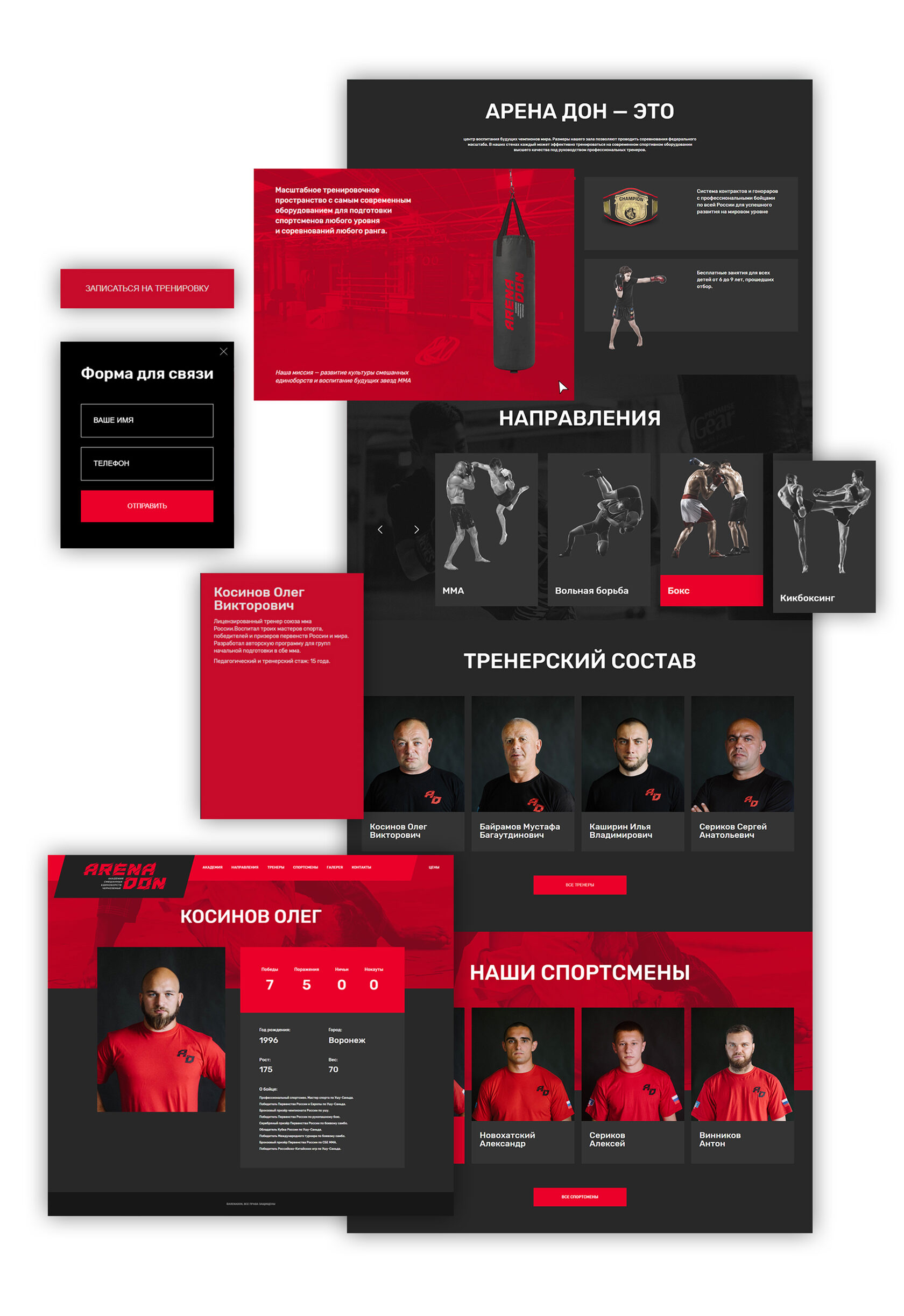Arena Don – оригинальный материал проекта