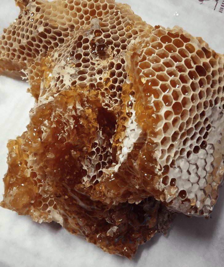 Бортевой мёд: купить мёд диких пчёл в Минске – Organic-Honey.by