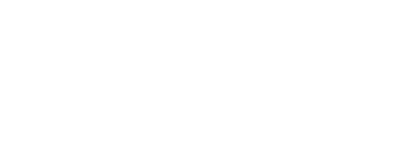 ирис мебель